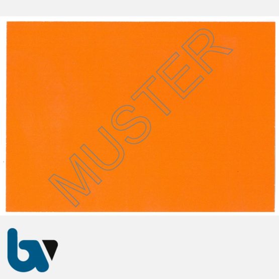 1/685-10 Parkausweis zur Ausnahmegenehmigung über Parkerleichterungen NRW orange Modell behinderte Menschen DIN A6 orange RS | Borgard Verlag GmbH