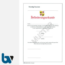 0/486-1 Beförderungsurkunde Feuerwehr Karton Mecklenburg-Vorpommern DIN A4 | Borgard Verlag GmbH