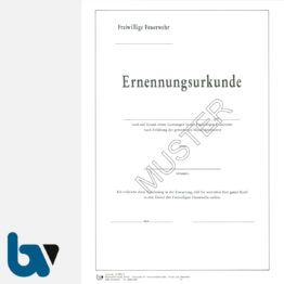 0-486-2 Ernennungsurkunde Feuerwehr Karton Hammerschlag selbstdurchschreibend DIN A4 2-fach | Borgard Verlag GmbH