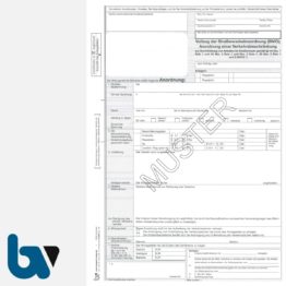 0/497-3 Anordnung Verkehrsbeschränkung Vollzug 44 45 Straßenverkehrsordnung StVO Arbeiten Verkehrsraum Straßenraum selbstdurchschreibend DIN A4 5-fach VS | Borgard Verlag GmbH