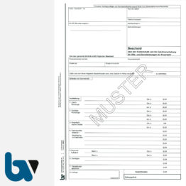 3/469-1 Bescheid Kostenersatz Gebührenerhebung Hilfe Dienstleistungen Feuerwehr Hessen selbstdurchschreibend DIN A4 3-fach RS | Borgard Verlag GmbH