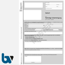 2/448-1.5 Sofortige Unterbringung Krankenhaus Paragraph 15 PsychKG RLP 4-fach selbstdurchschreibend DIN A4_seite 1 | Borgard Verlag GmbH