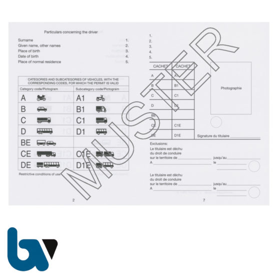 419 International Führerschein Übereinkommen 1968 §25b Anlage 8d FeV Fahrerlaubnis Verordnung Neobond grau Seite 4 | Borgard Verlag GmbH