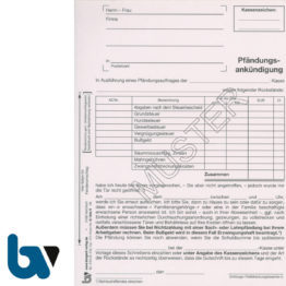 0/846-9 Pfändungsankündigung Auftrag Einschlagdeckel Durchschreibeschutz Schreibschutzdecke perforiert 2-fach selbstdurchschreibend DIN A5 | Borgard Verlag GmbH