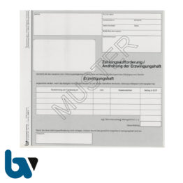 0/847-2 Zahlungsaufforderung Androhung Erzwingungshaft OWiG Forderung 2-fach selbstdurchschreibend DIN A5 | Borgard Verlag GmbH