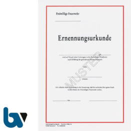 0/486-2 S Ernennungsurkunde Freiwillige Feuerwehr Karton Hammerschlag selbstdurchschreibend DIN A4 2-fach | Borgard Verlag GmbH